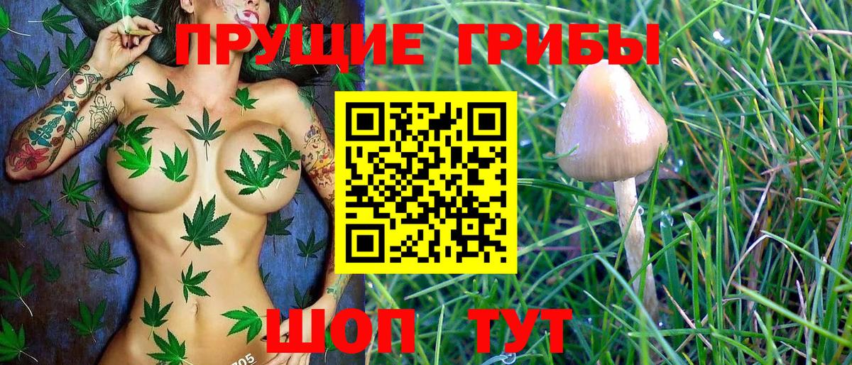 Псилоцибиновые грибы Magic Shrooms  Псилоцибиновые грибы ЛСД  Вход с VPN  Подольск 