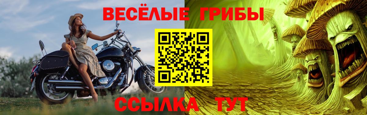 Псилоцибиновые грибы Psilocybe Подольск